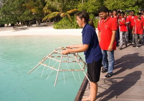 Restauración de corales - Maldivas -1